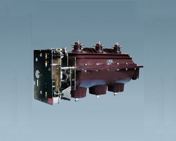 FLN36-12D/T630-20型 （SF6 SM6)